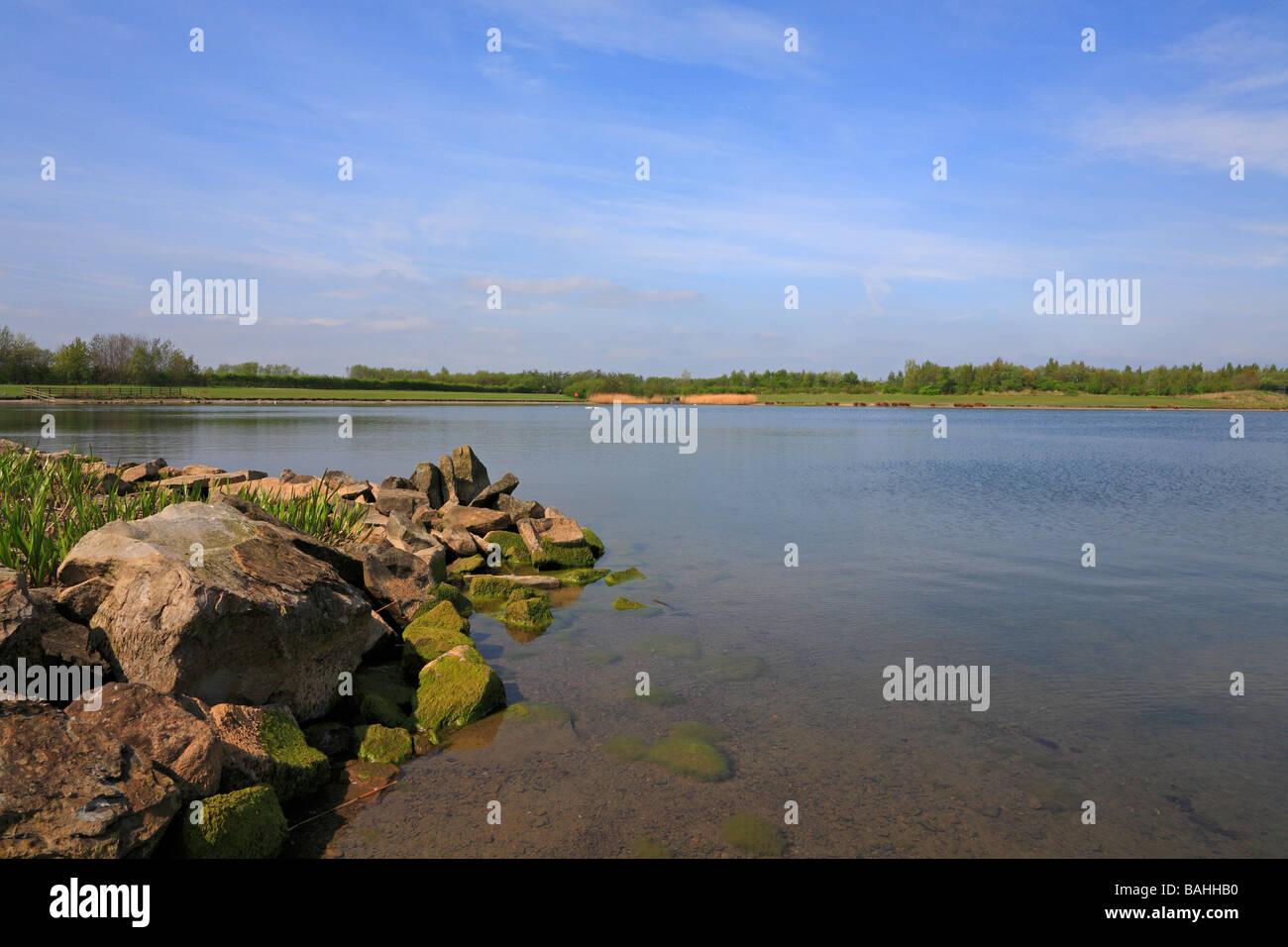 Angler Country Park, Wintersett, Wakefield, West Yorkshire, England, UK. Stockfoto