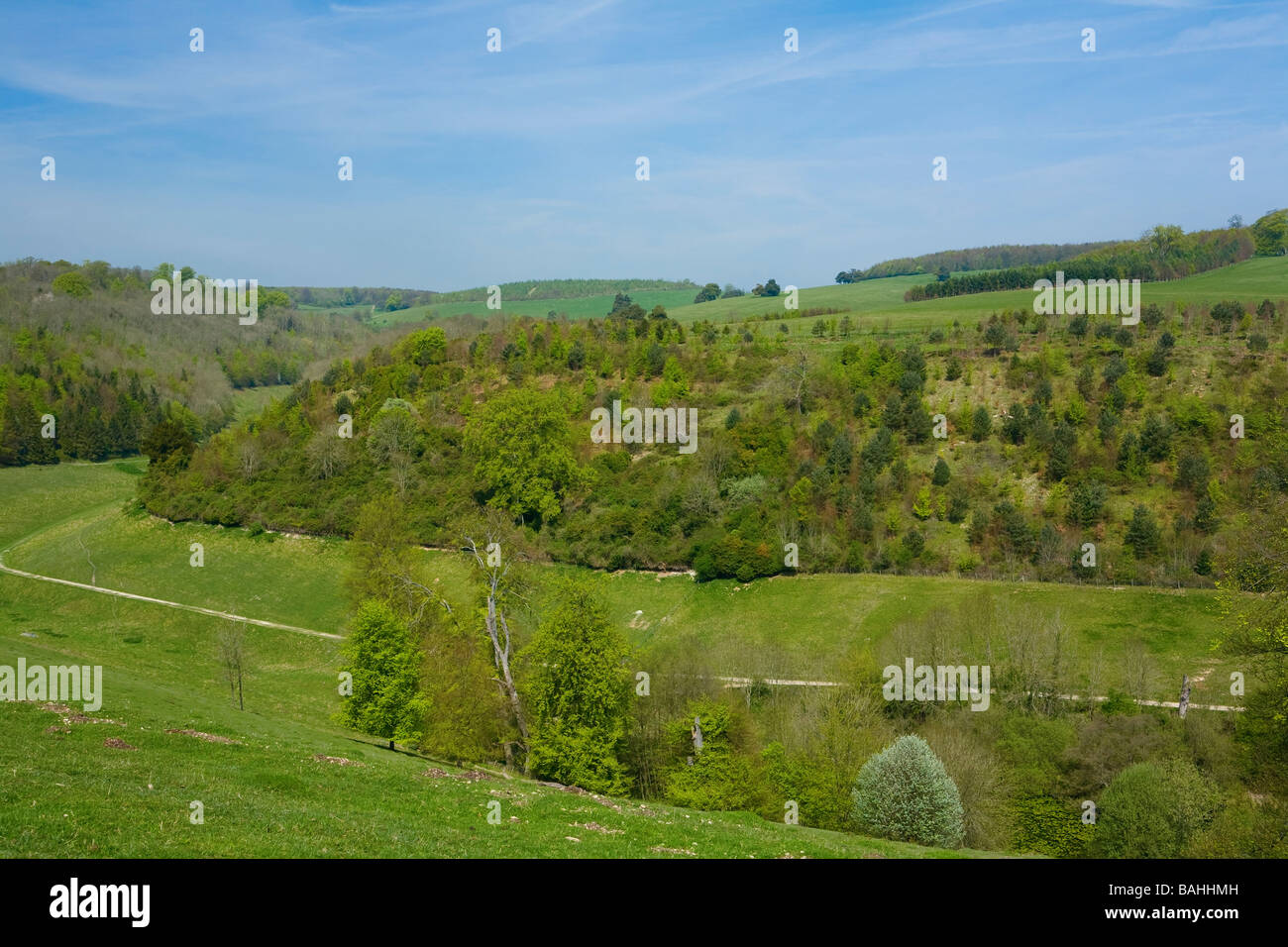 Wicklung chalk Pfad auf dem South Downs Way in der Nähe von Arundel, Sussex, UK Stockfoto