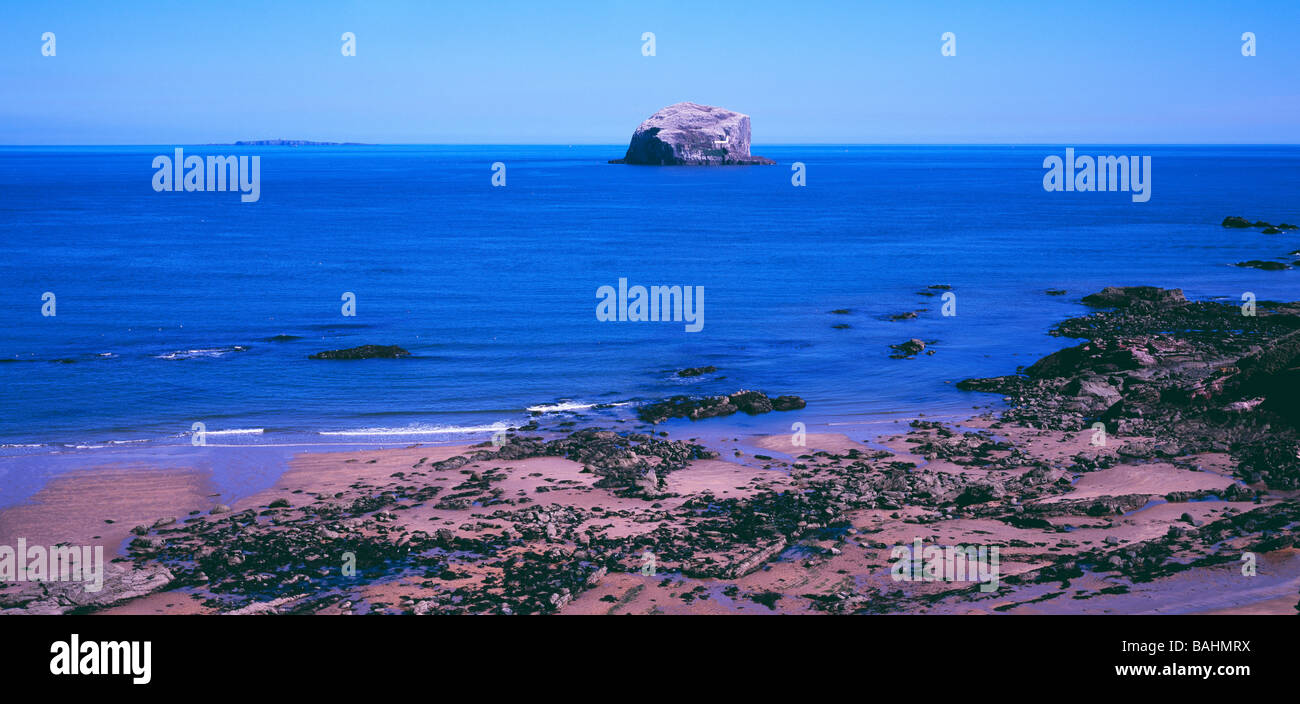 Bass Rock und Küste, in der Nähe von North Berwick, East Lothian, Schottland. Stockfoto