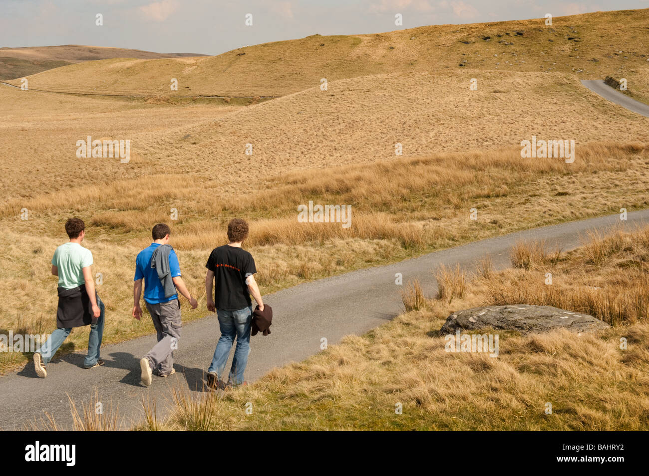 Drei junge Männer zu Fuß entlang der Teifi Pools Trail Hochland Ceredigion ländlichen West Wales UK - einem Gebiet, bekannt als die grüne Wüste Stockfoto