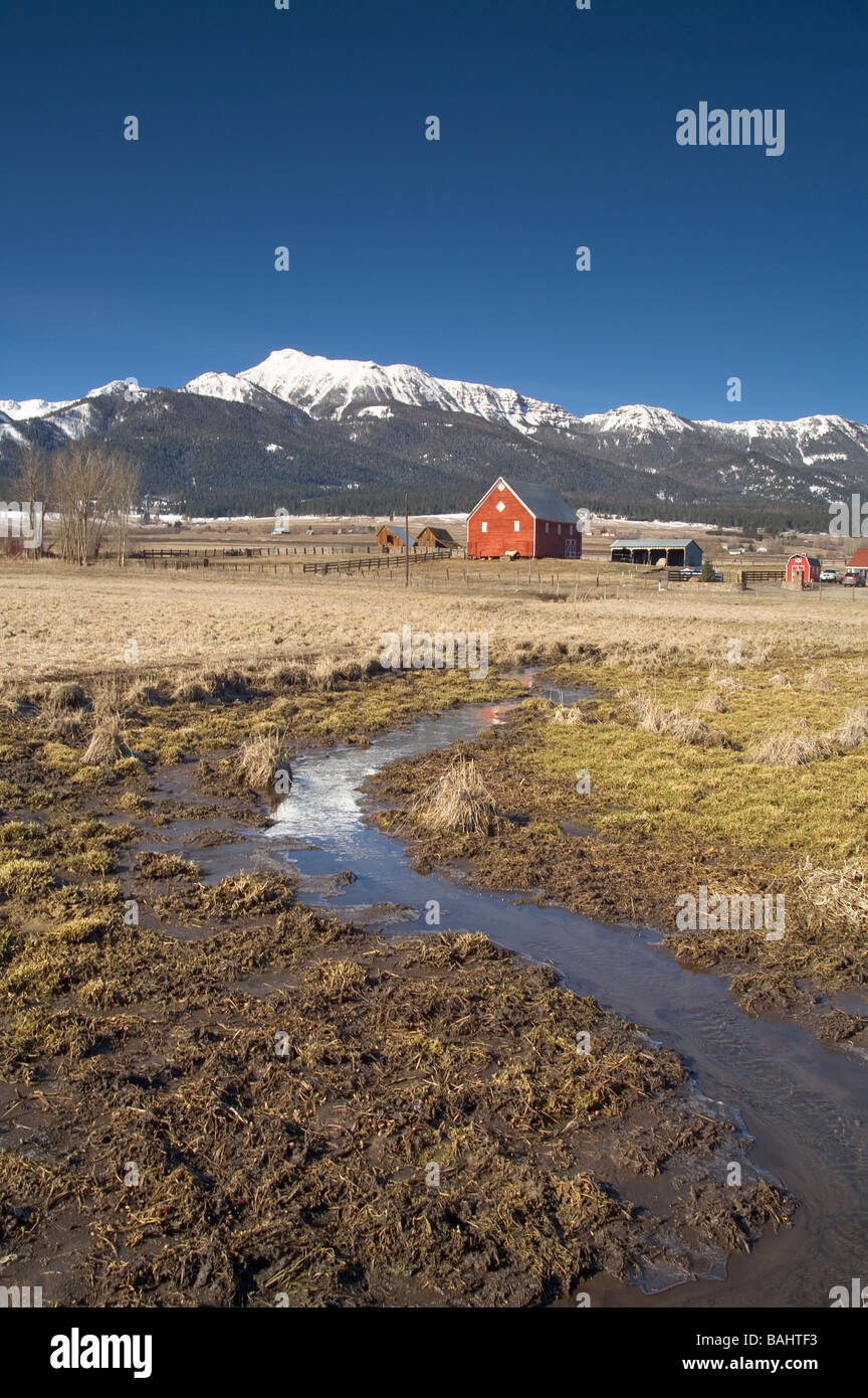 Red Barn in Feld auf Farm oder Ranch am Fuße des Wallowa mountians Stockfoto