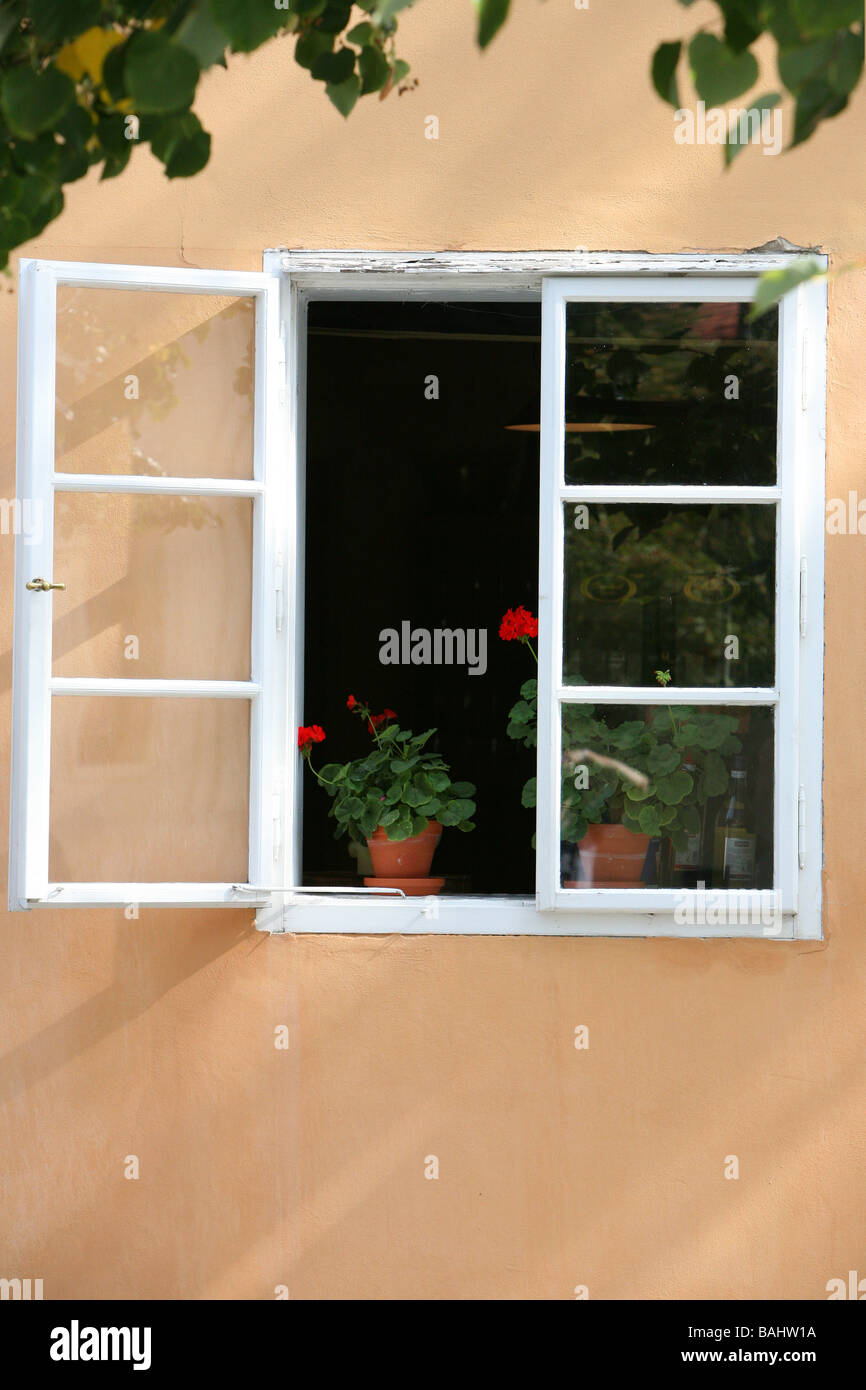 Fenster in Prag Stockfoto