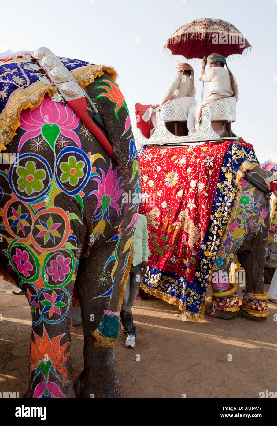 Elephant Festival Jaipur Rajasthan Indien Stockfoto