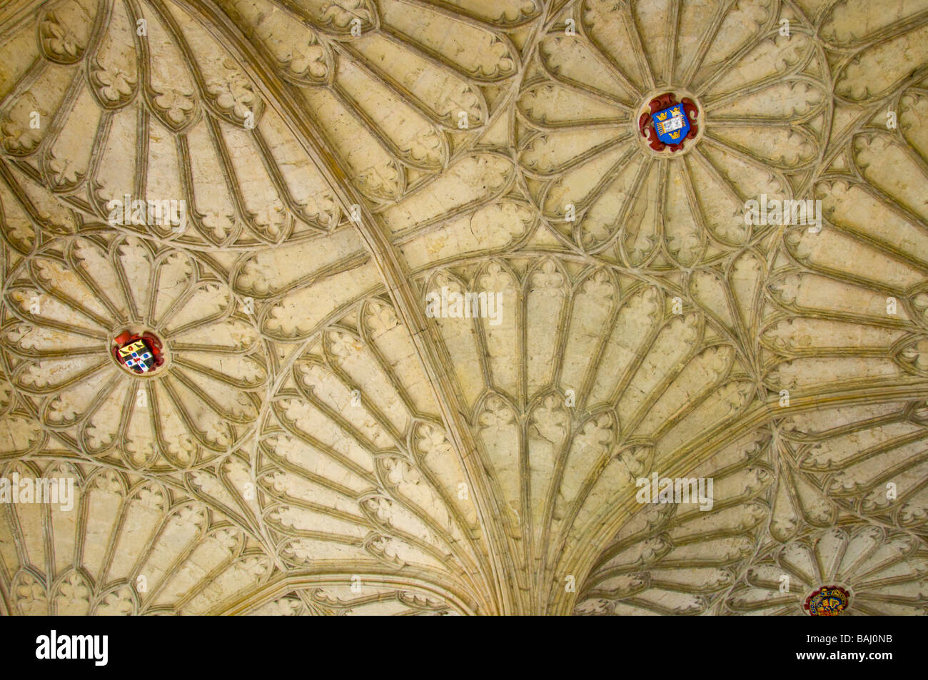Oxford, England, Vereinigtes Königreich. Christ Church College. Ventilator gewölbte Decke (1638) über die Treppe (James Wyatt, 1805) zum Speisesaal Stockfoto