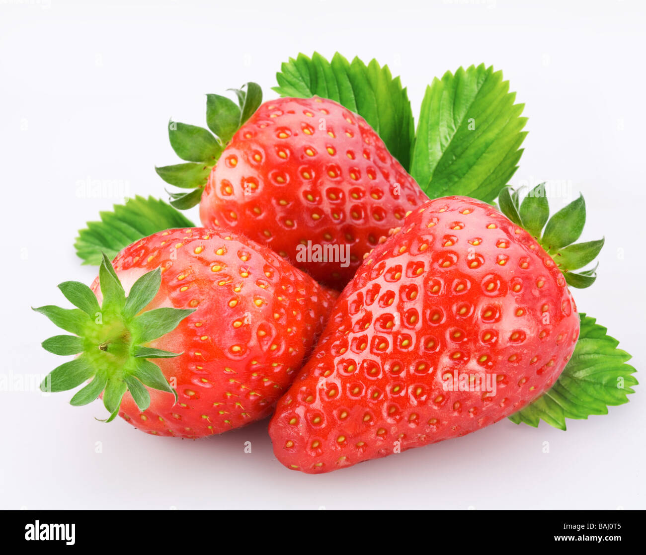 Beeren von Erdbeeren auf weißem Hintergrund Stockfoto