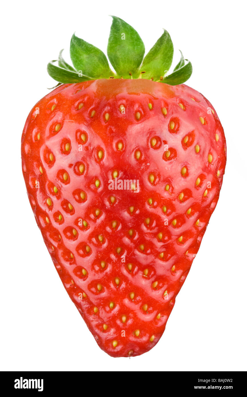 Erdbeer-Objekt auf einem weißen Hintergrund Stockfoto