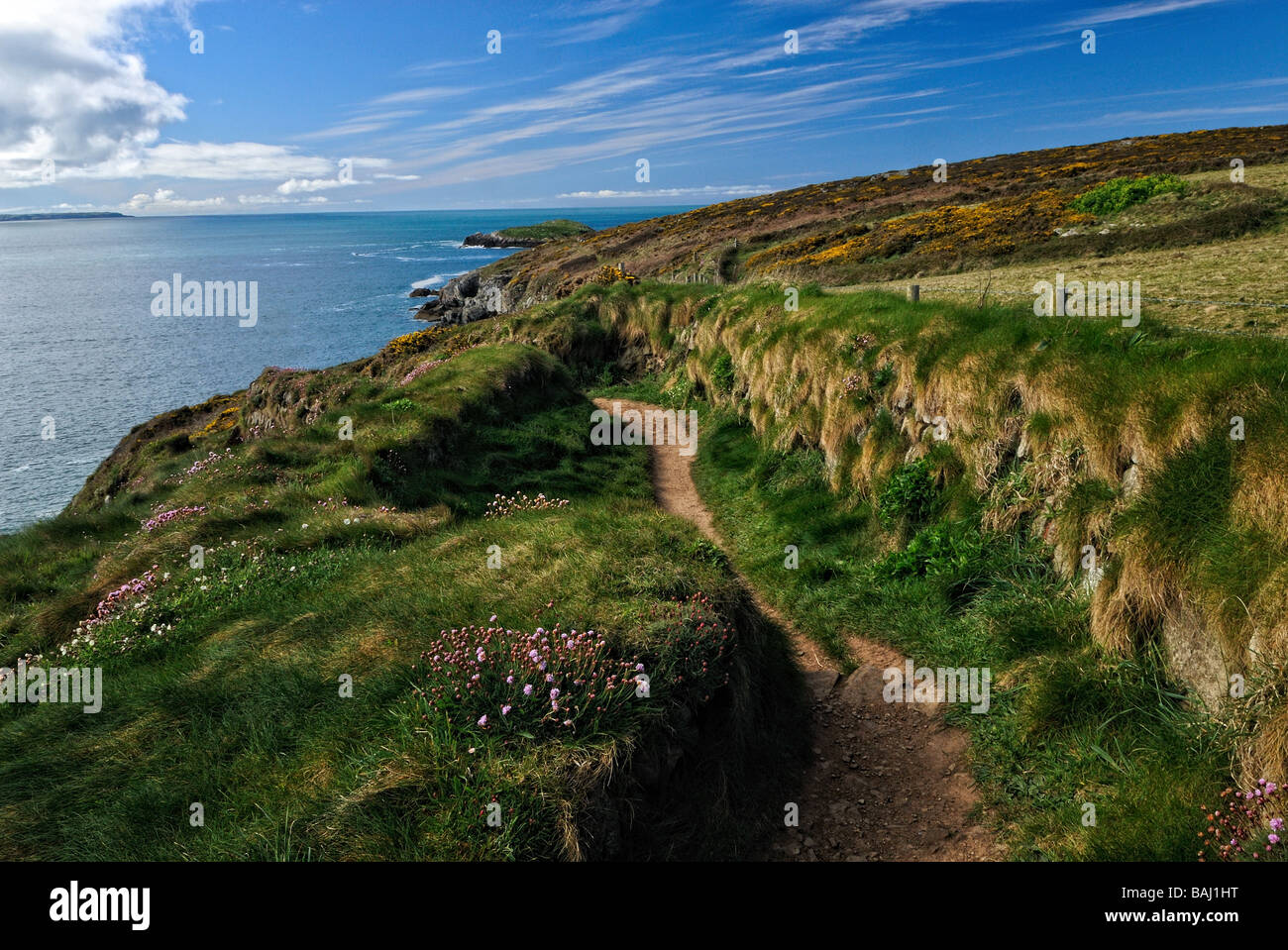 Pembrokeshire Coast National Park Stockfoto