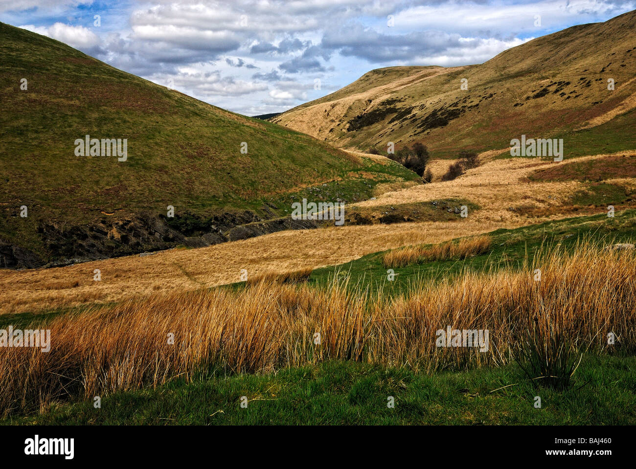 Elan-Tal, Wales Stockfoto