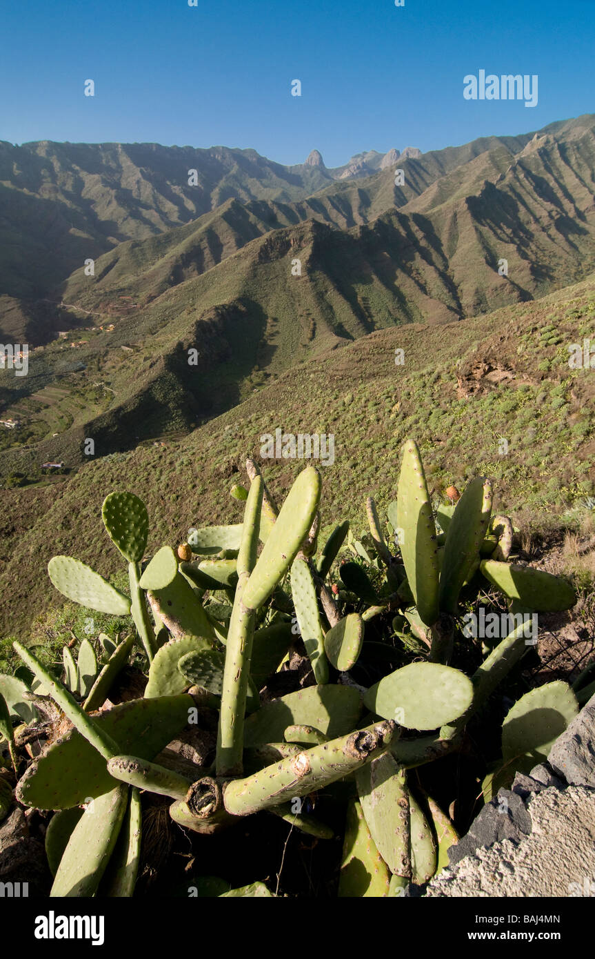 Die felsige Insel La Gomera-Kanarische Inseln-Spanien Stockfoto