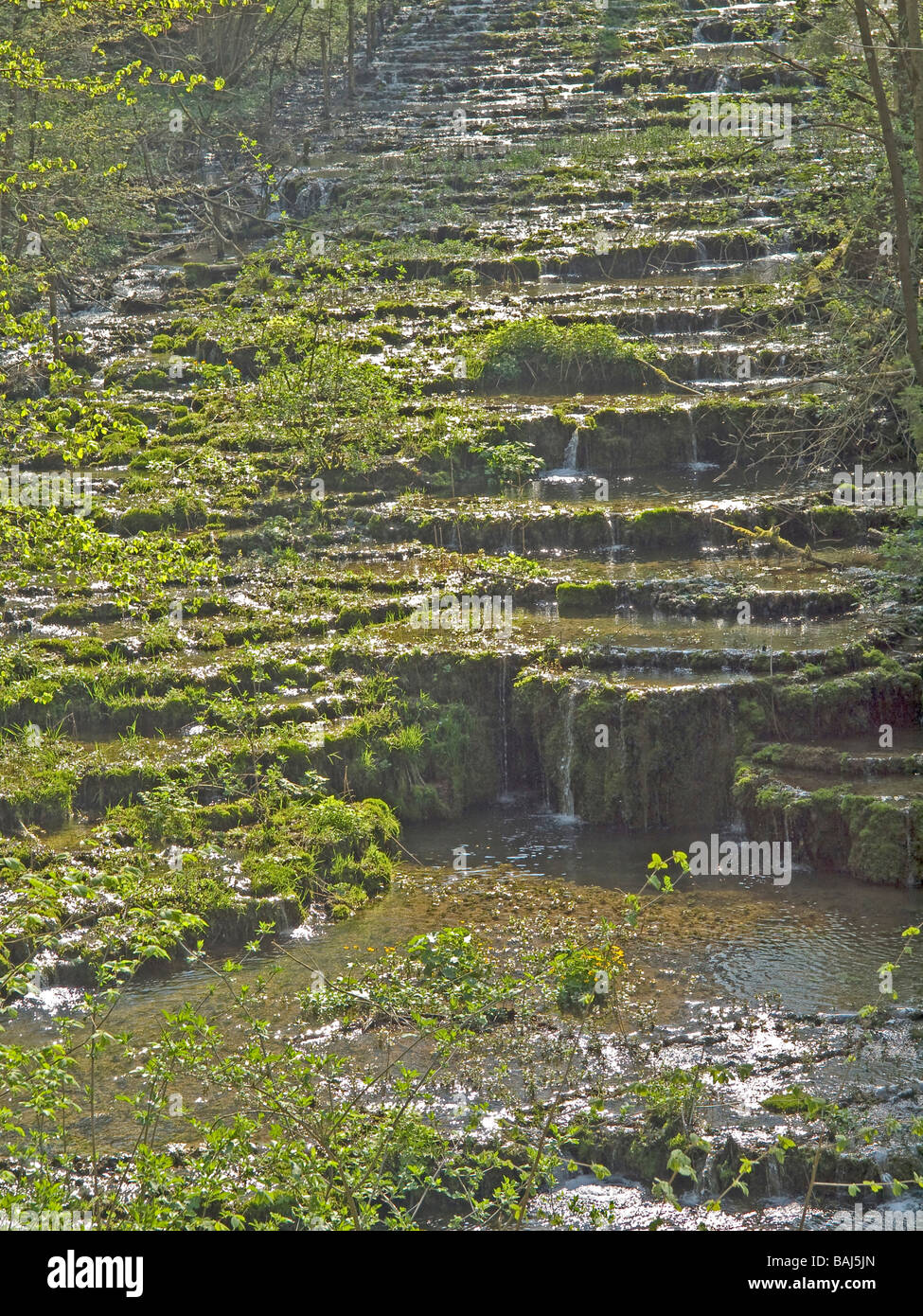 Naturpark Fränkische Schweiz mit Kaskaden mit verschiedenen Quellen in Bayern Oberfranken Nord Deutschland Stockfoto