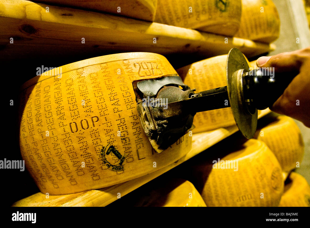 Branding DOP des Parmigiano Reggiano Käse Coop Casearia Castelnovese Castelnuovo Rangone Provinz Modena Italien Stockfoto