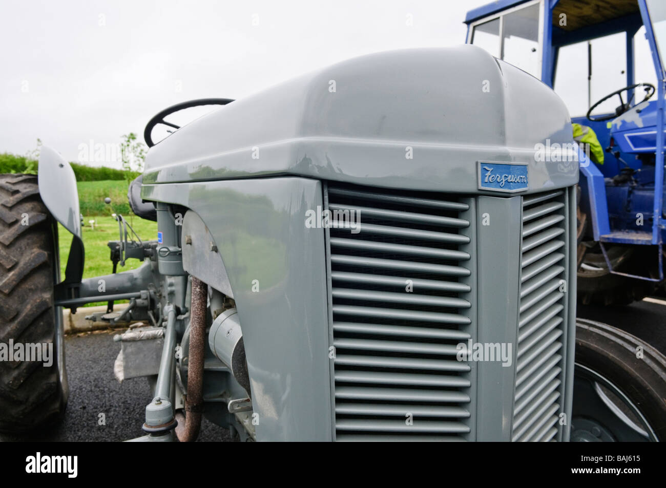 Kühlergrill grau 1949 Massey Ferguson Vintage Bauernhof Traktor Stockfoto