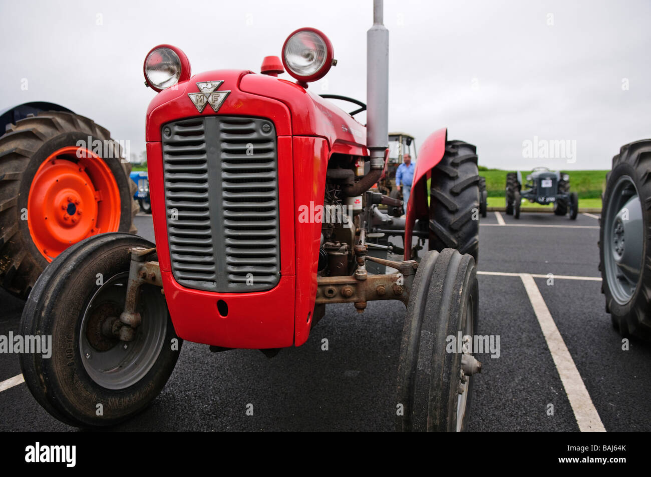 Massey Ferguson MF 35 FE35 Traktor 1955 (USA) 1956 (UK), wurde zu einem der beliebtesten Traktoren jemals veröffentlicht und ist heute noch im Einsatz Stockfoto