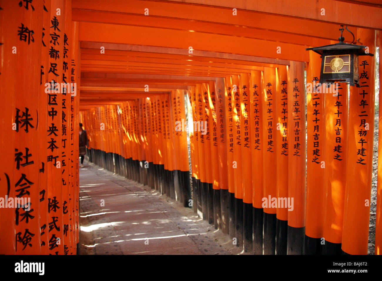 Reihen von Torii-Tore bei Fushumi Inari-Taisha Kyoto Japan Stockfoto