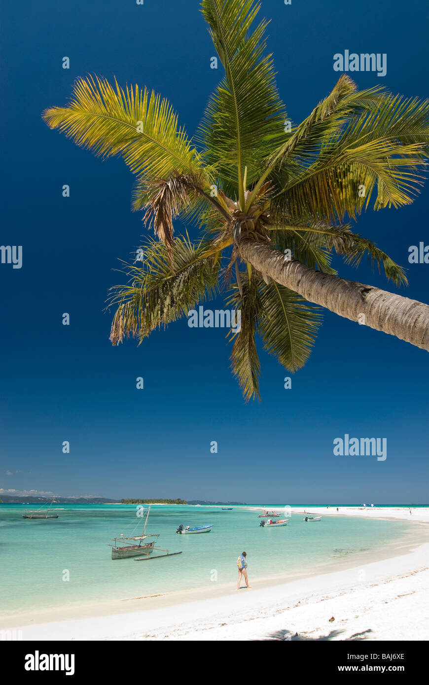 Palme auf einem Sandstrand vor der kleinen Insel im Meer in der Nähe von Nosy Iranja-Madagaskar-Afrika Stockfoto