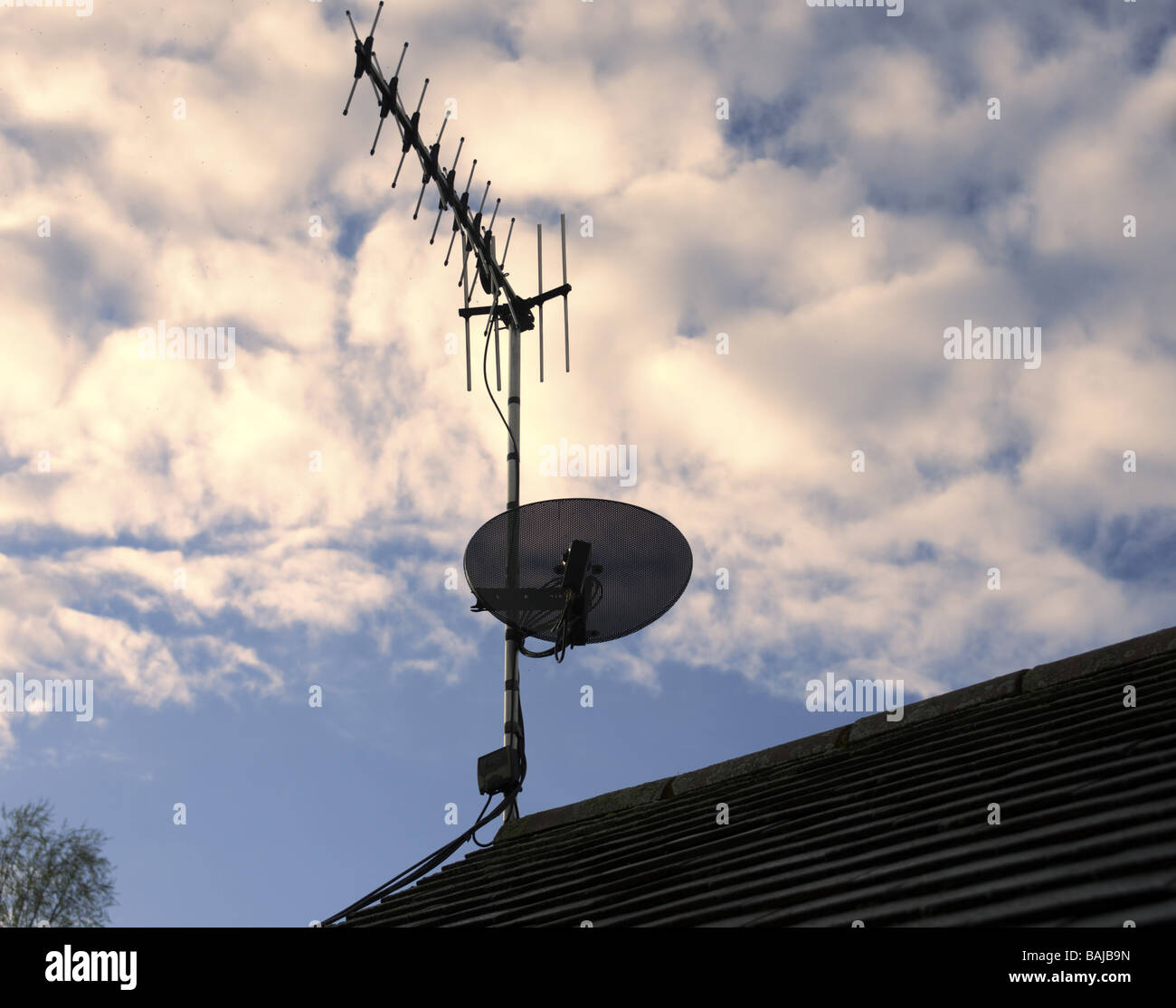 eine Satellitenschüssel TV-Antenne Stockfoto