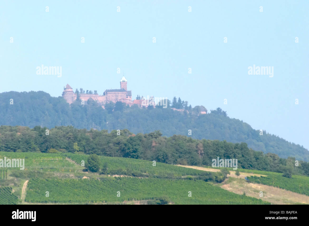 Weingut Chateau du Haut Koenigsbourg Orschwiller Elsass Frankreich Stockfoto