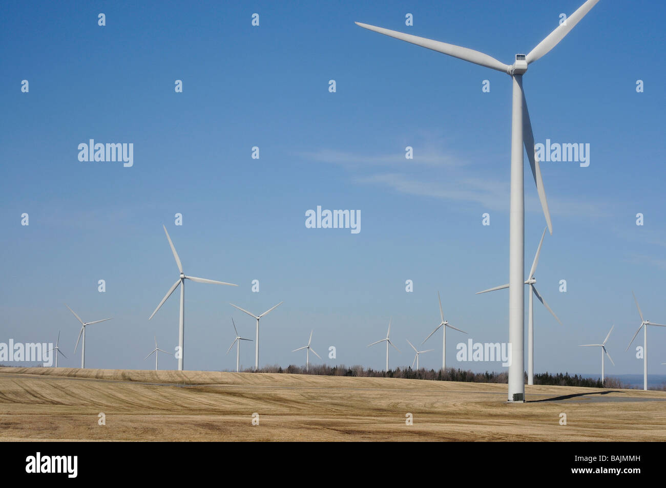 Windmühlen in Maple Ridge Windpark in oberen Staat New York in der Nähe von Lowville New York USA. Stockfoto