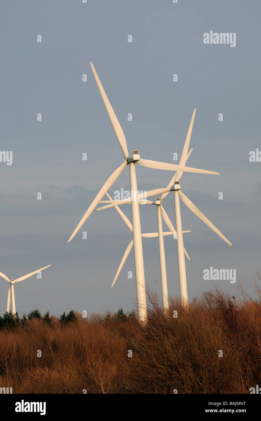 Windmühlen in Maple Ridge Windpark in oberen Staat New York in der Nähe von Lowville New York USA. Stockfoto