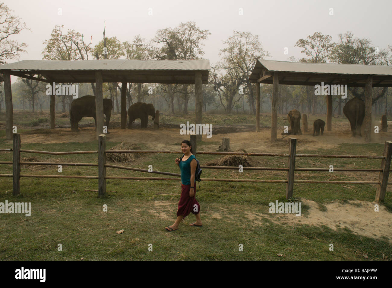 auf Safari im Chitwan Nationalpark, nepal Stockfoto