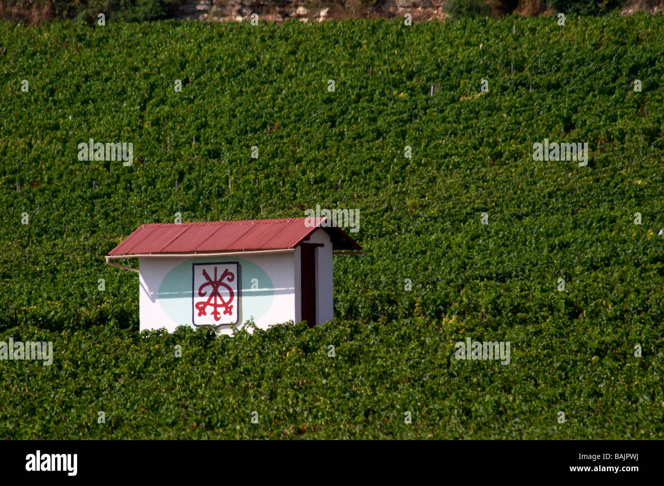 Weingut Hütte Chambertin Clos de Beze gc Gevrey-ch Côte de Nuits Burgund Frankreich Stockfoto