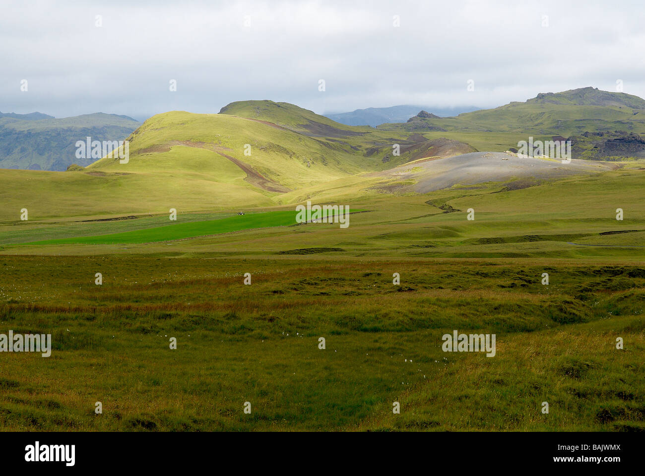Island, Nord-Ost-Region, in der Nähe von Eldhraun Stockfoto