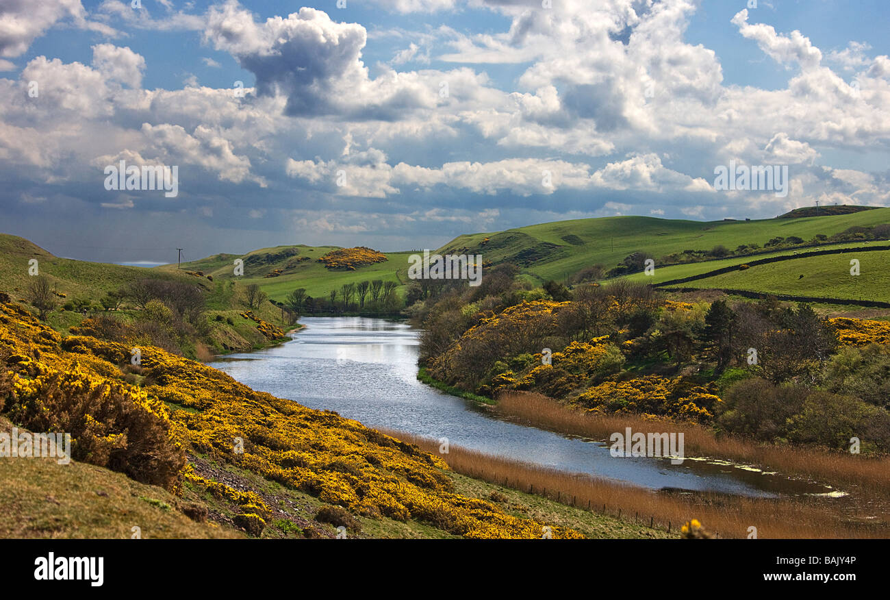 Schlamm-Loch. St. Abbs Head. Berwickshire. Schottischen Borders. Stockfoto