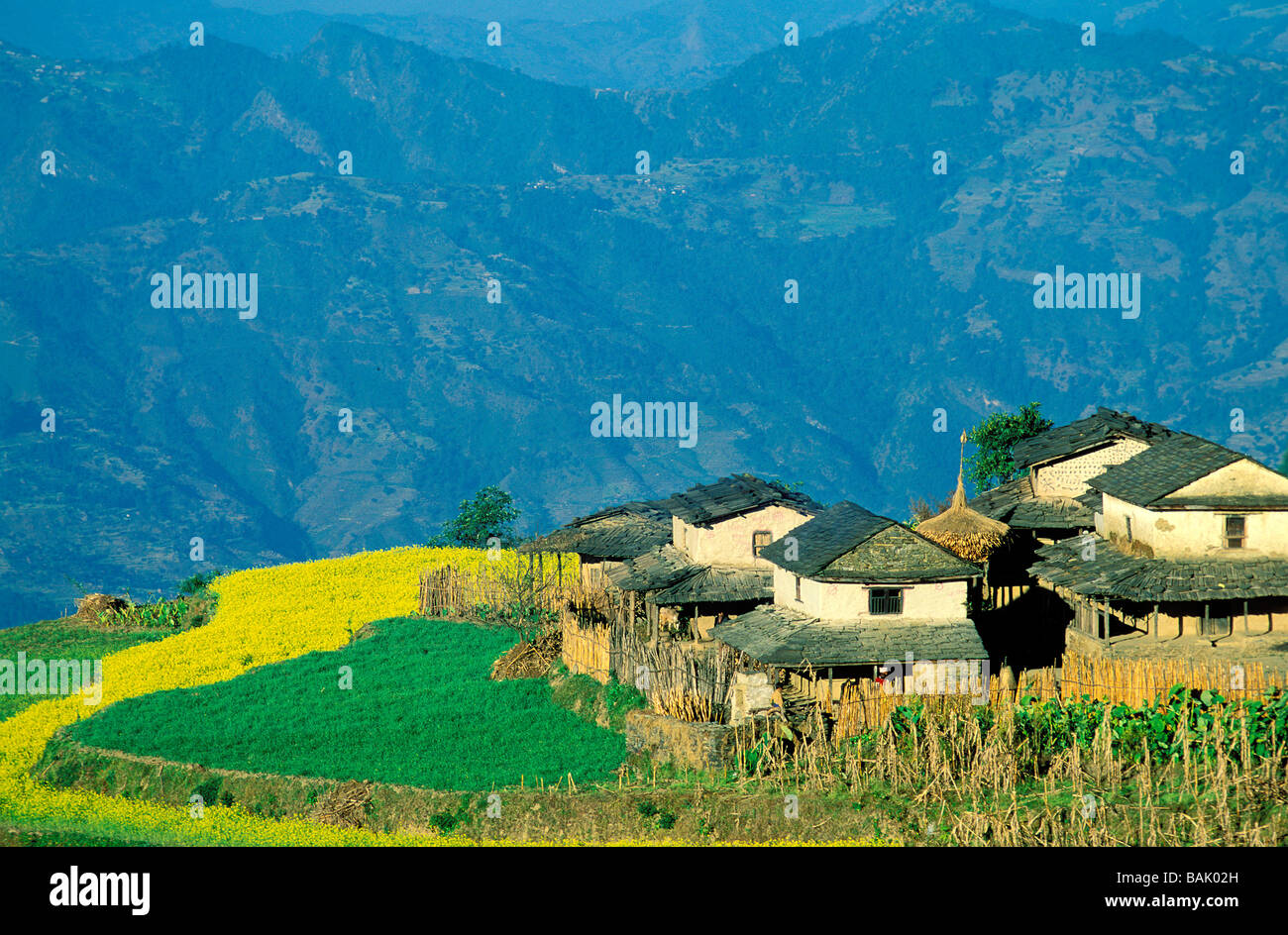 Nepal, Gandaki Zone, Gorkha Bezirk, Barpak Dorf wo lebte der ethnische Gruppe der Gurung Stockfoto