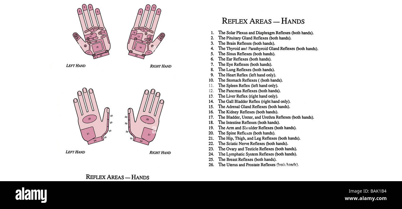 Relfex Diagramm für Hände Stockfoto