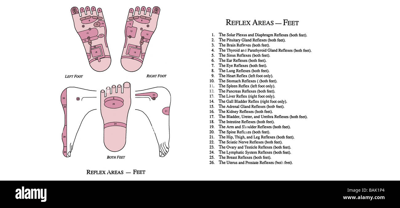Relfex Diagramm für Füße Stockfoto