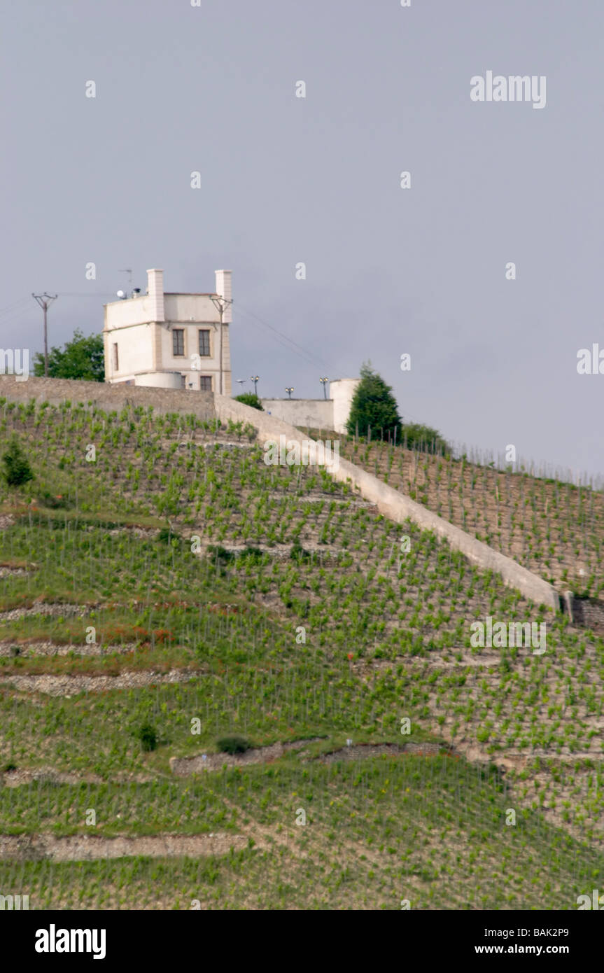 Weingut Maison Blanche Eremitage Rhone Frankreich Stockfoto