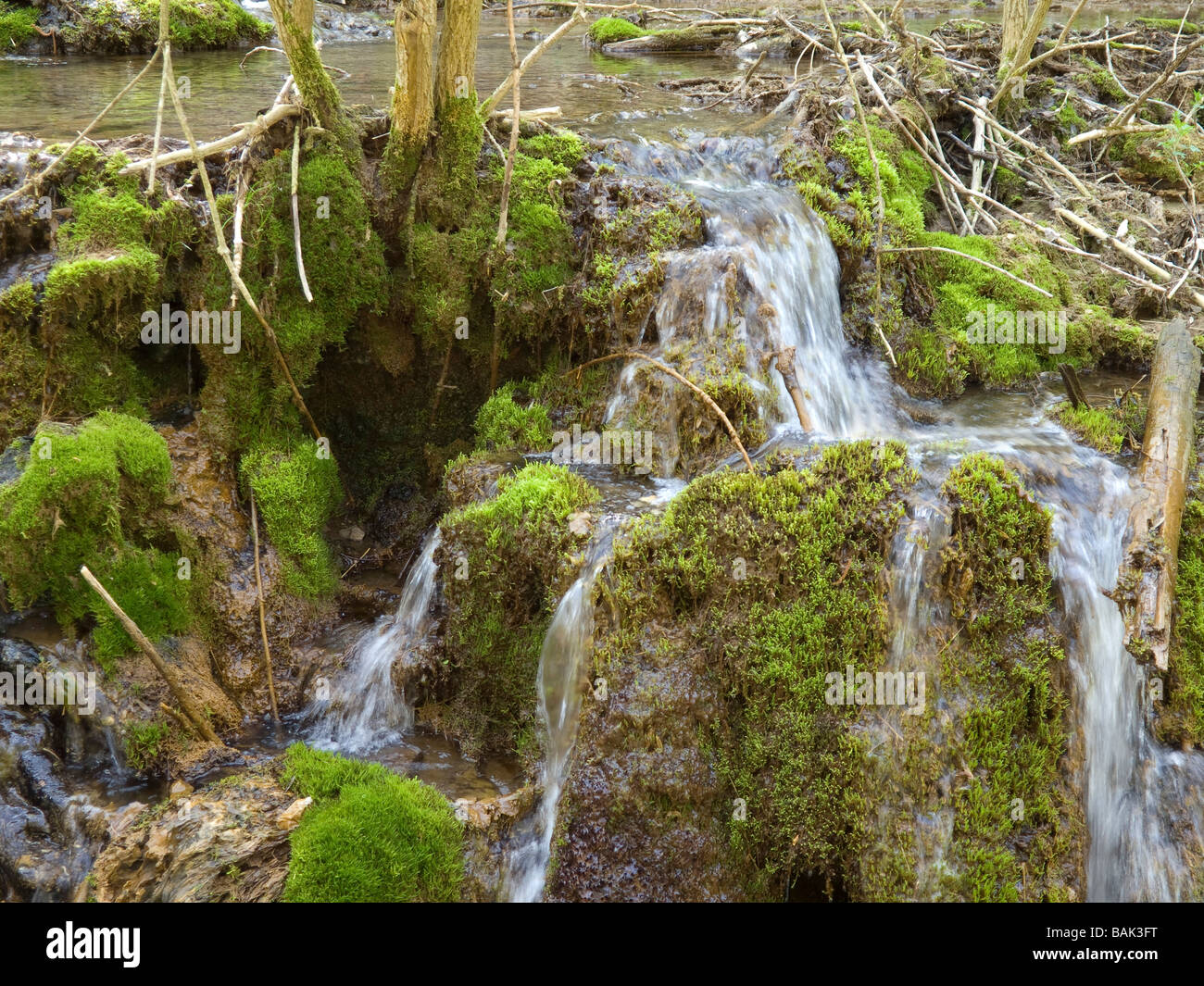 Naturpark Fränkische Schweiz mit Kaskaden mit verschiedenen Quellen in Bayern Oberfranken Nord Deutschland Stockfoto