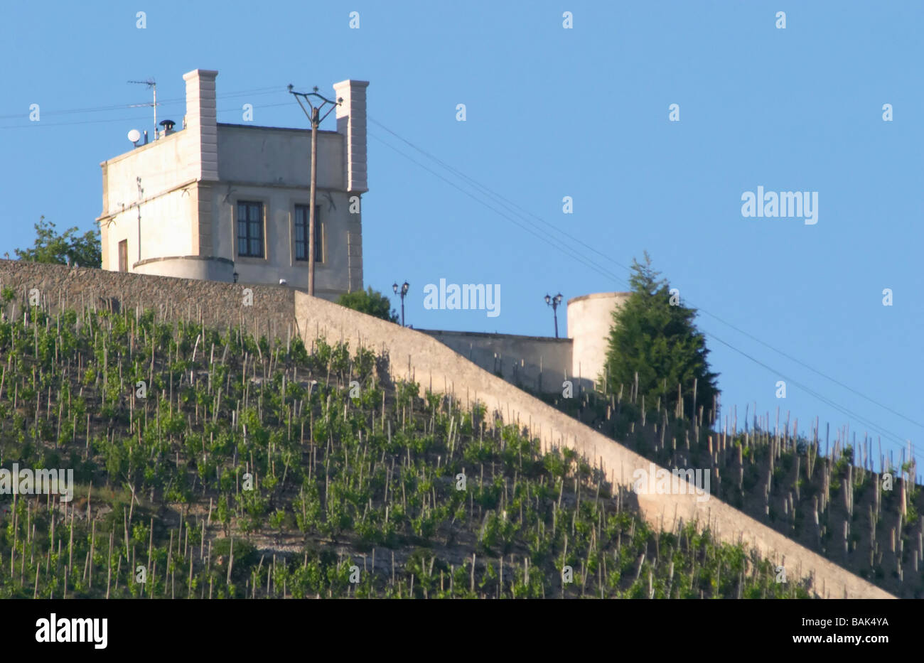 Weingut Maison Blanche Eremitage Rhone Frankreich Stockfoto