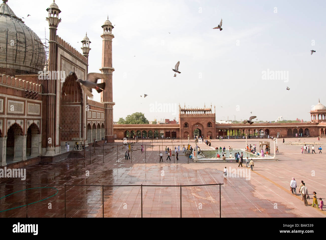 Indien-Delhi das Rote Fort Perle Moschee Moti Masjid Stockfoto