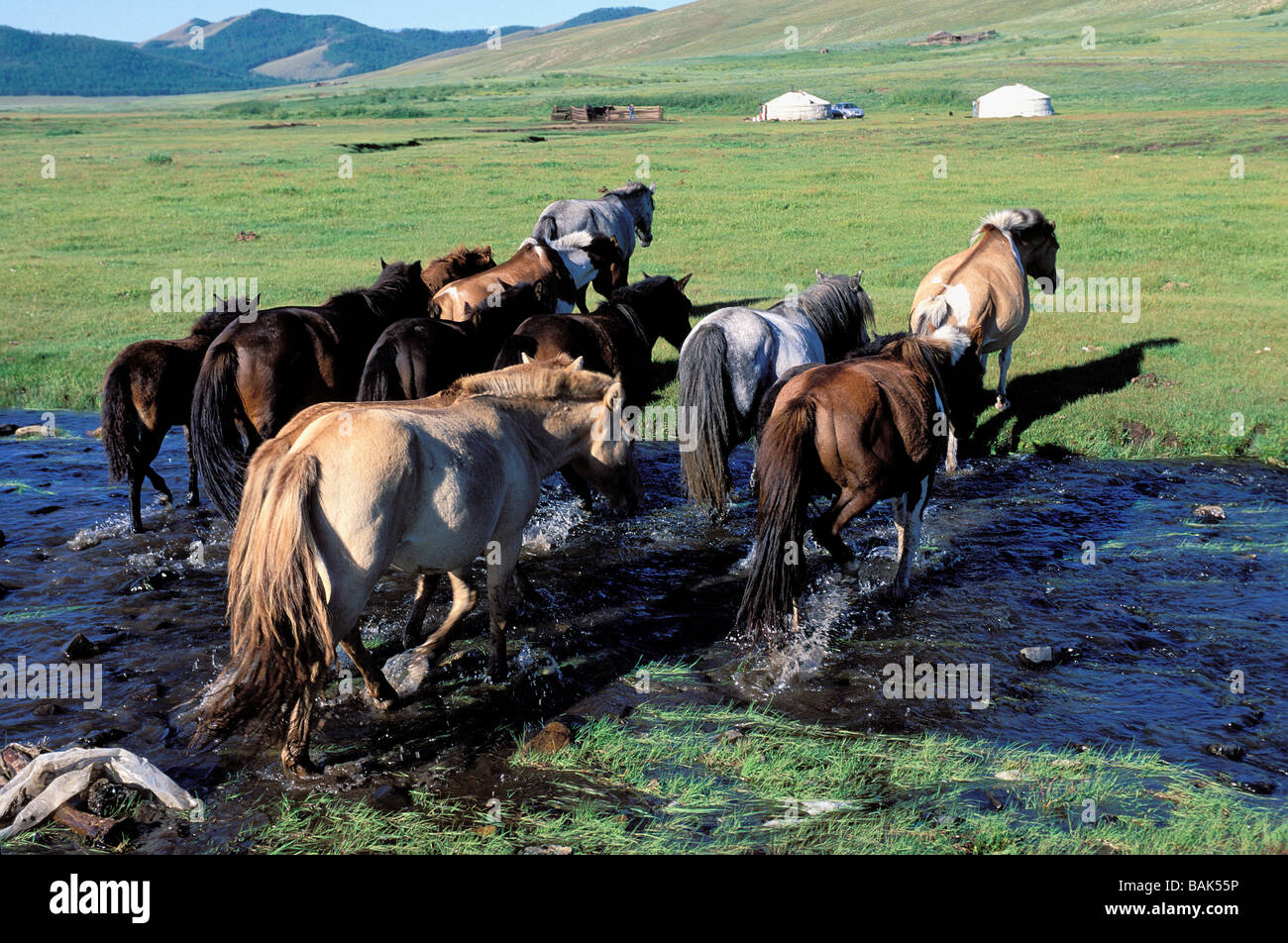 Mongolei, Tov Provinz Bakhan Uul Nationalpark Stockfoto
