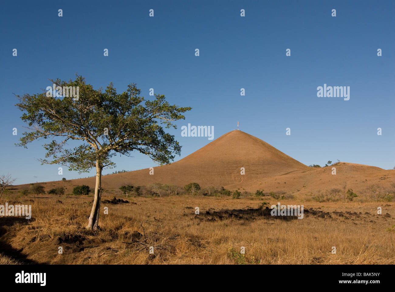 Savannenlandschaft an der Nordspitze Madagscars Afrika Stockfoto