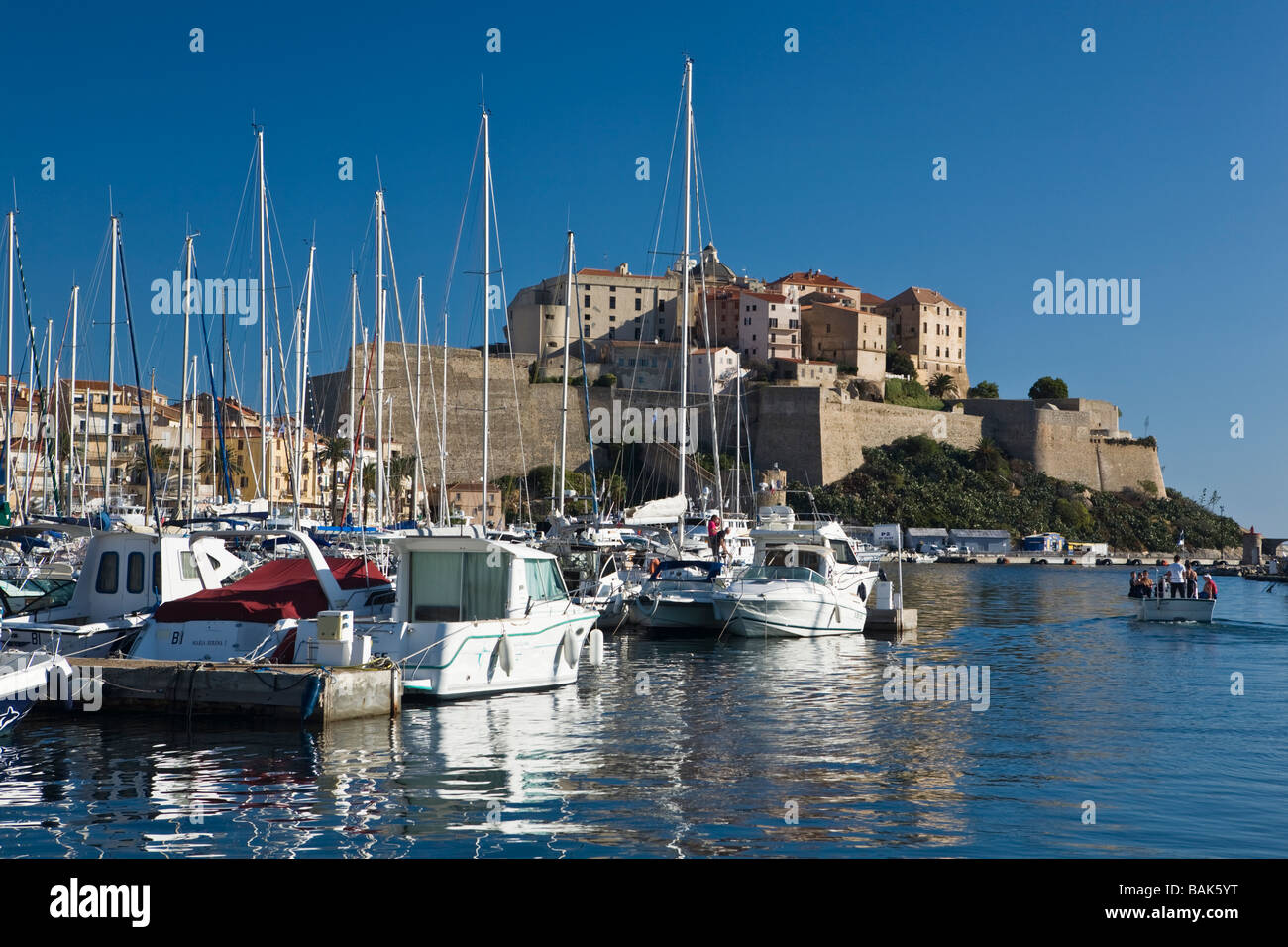 Calvi-Hafen-Boote und Citadelle Korsika Frankreich Stockfoto