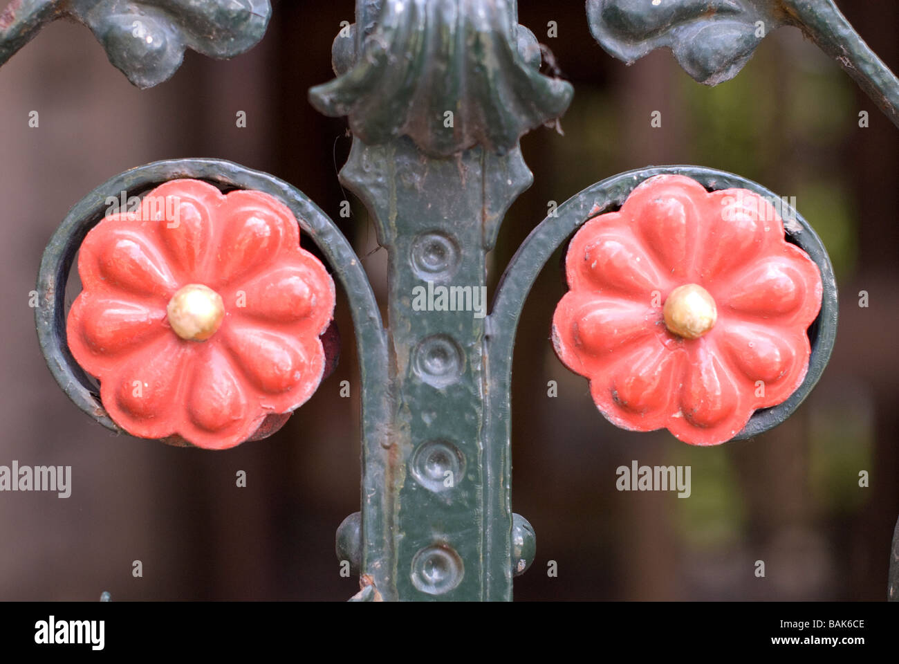 Rote Rosen, Manchester Kathedrale Tore Stockfoto