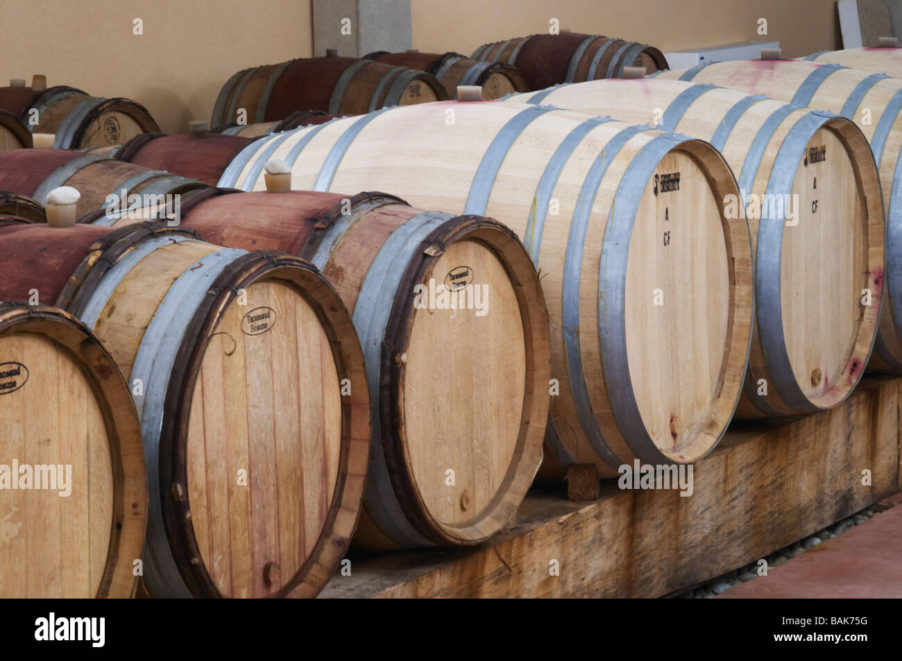 Fass Altern Keller Dom g Robin Crozes Hermitage Rhone Frankreich Stockfoto