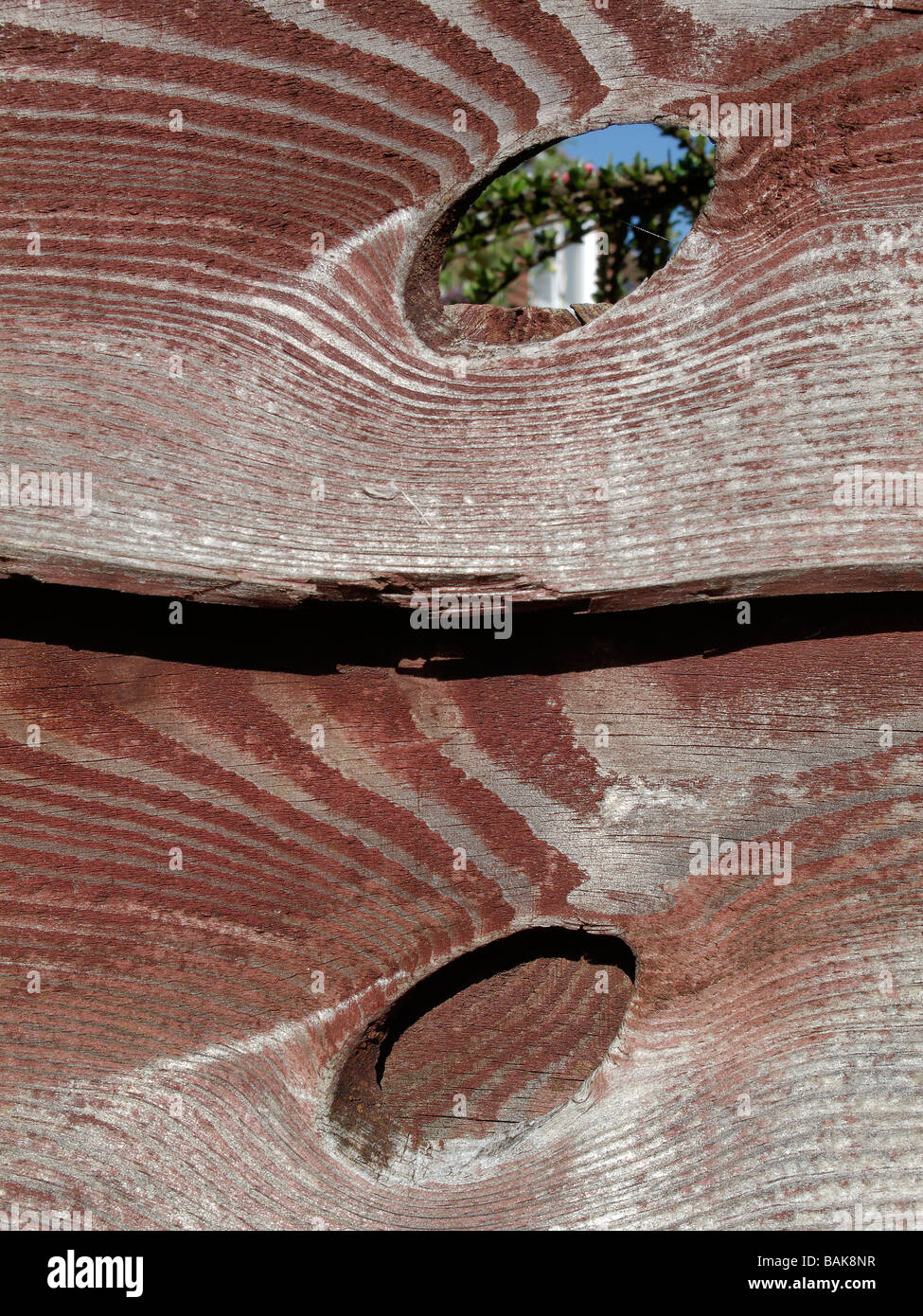 Abstrakte Muster auf Holzzaun 19 - Radley Dorf Oxfordshire.jpg Stockfoto