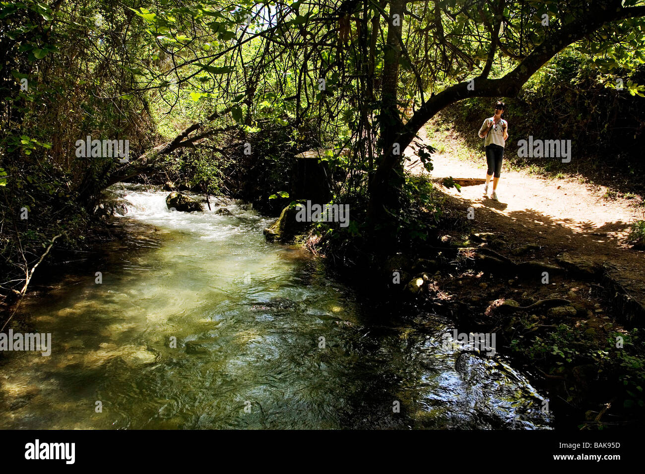 Majaceite Fluss im Wald Grazalema weißen Dörfer Sierra de Cadiz Andalusien Spanien Stockfoto