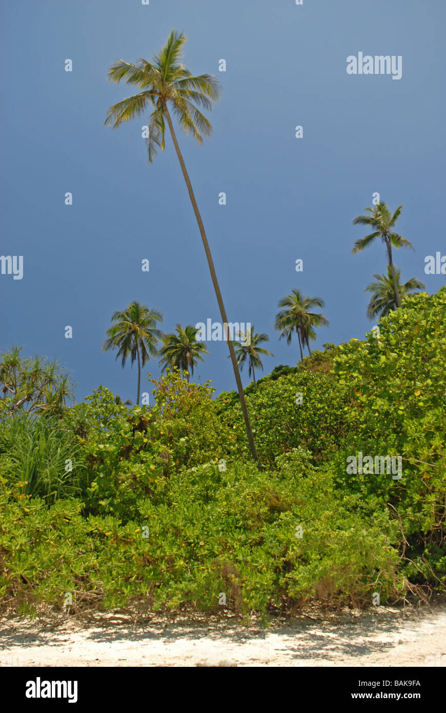 Perhentian Island Stockfoto