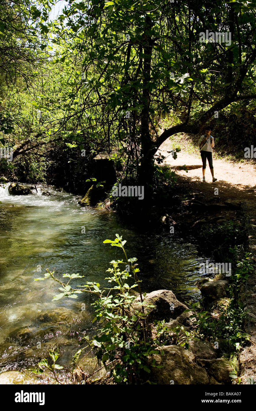 Majaceite Fluss im Wald Grazalema weißen Dörfer Sierra de Cadiz Andalusien Spanien Stockfoto