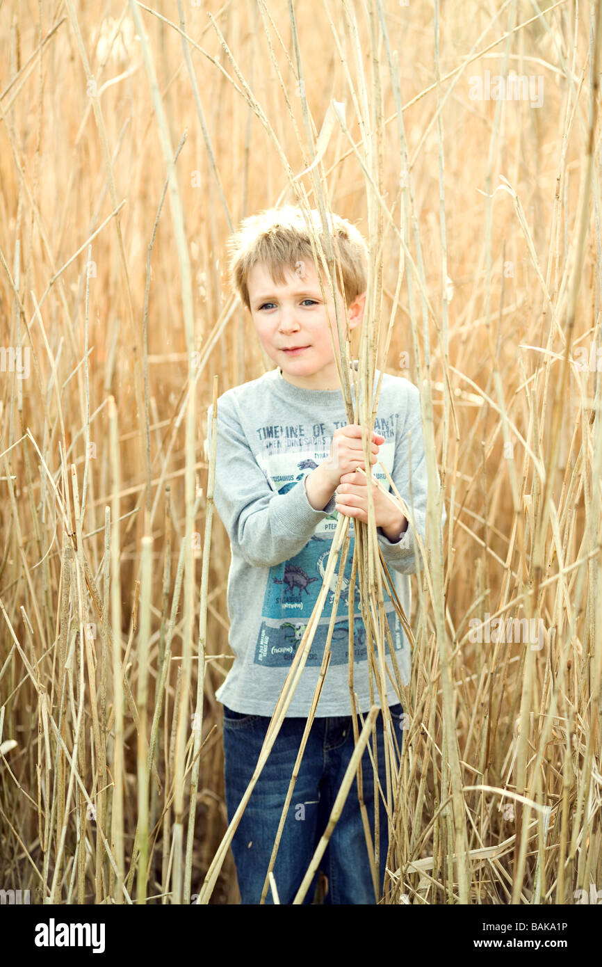 Ein Junge in einem Feld von Schilf auf der Suche ein bisschen verloren Stockfoto