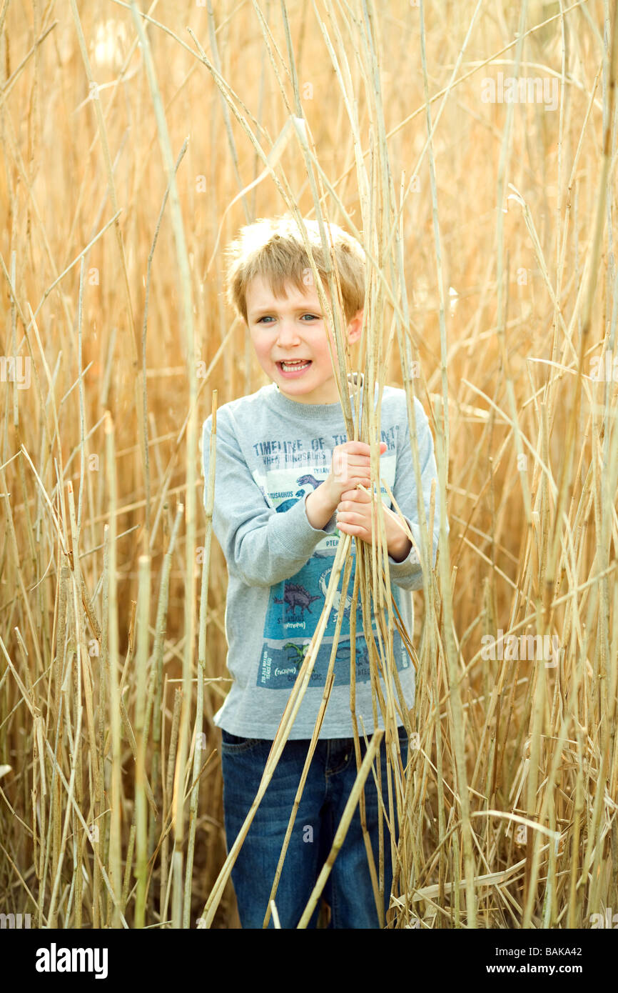 Ein Junge in einem Feld von Schilf auf der Suche ein bisschen verloren Stockfoto