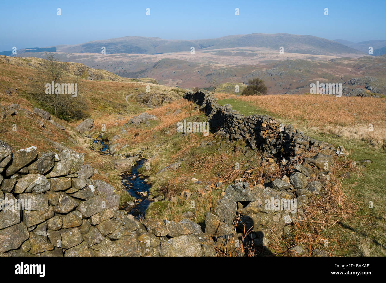 Trockenmauer Ulpha fiel Lake District National Park Cumbria England Stockfoto