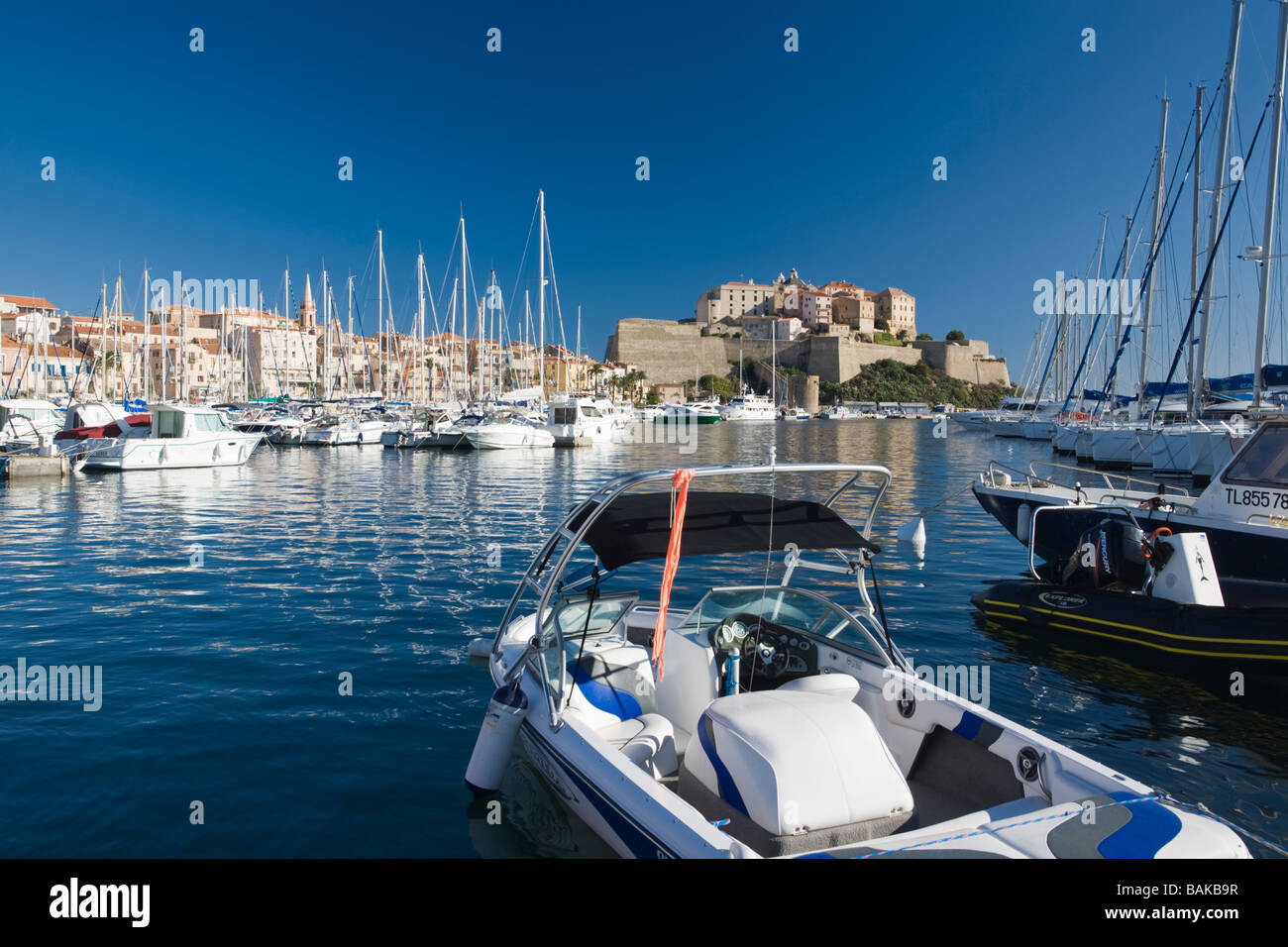 Blick auf Boote und den Hafen nach Calvi Citadelle Korsika Frankreich Stockfoto
