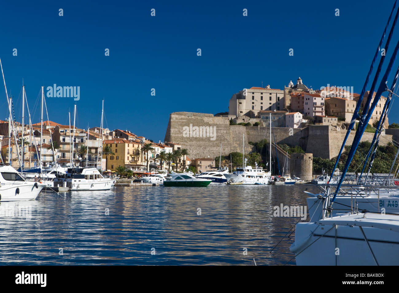 Blick auf Hafen von Calvi und Citadelle Korsika Frankreich Stockfoto
