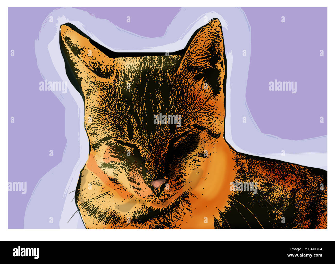 Abbildung einer Katze mit einem lila Hintergrund Stockfoto