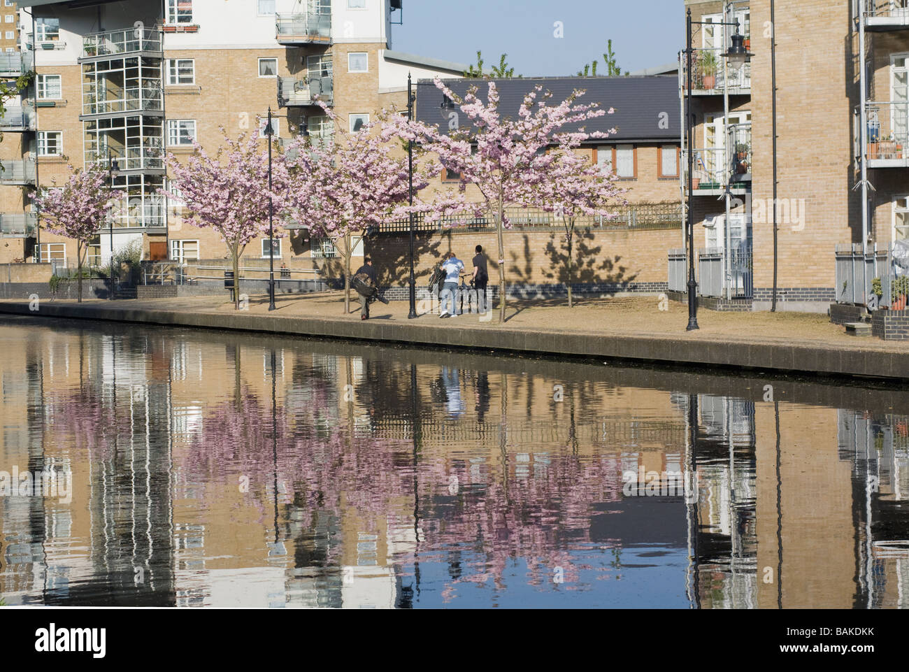 Bäume im Frühling blühen in Hertford Union Canal, London gesehen. VEREINIGTES KÖNIGREICH. Stockfoto